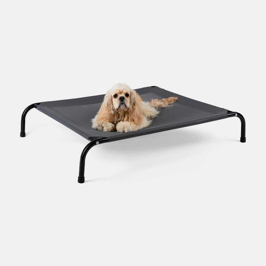 AirRest Elevated Bed