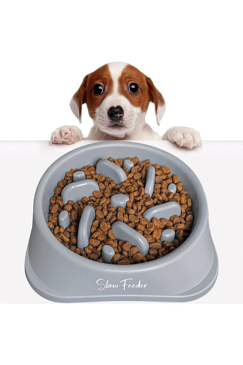SmartBite Slow Feeder